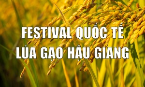 Festival quốc tế ngành hàng lúa gạo Việt Nam - Hậu Giang 2023 diễn ra từ ngày 11-12-2023